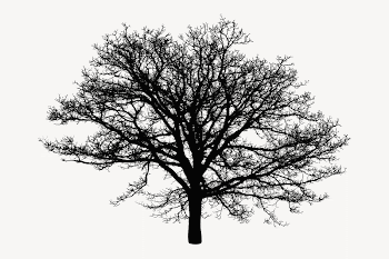 Tree silhouette, isolated botanical image | Free PSD - rawpixel