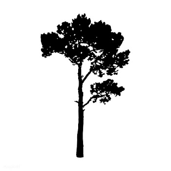 Tree silhouette on white background | Free stock vector - 488659