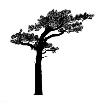 Tree silhouette on white background | Free stock vector - 488662