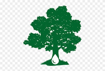 Tree Silhouette Png