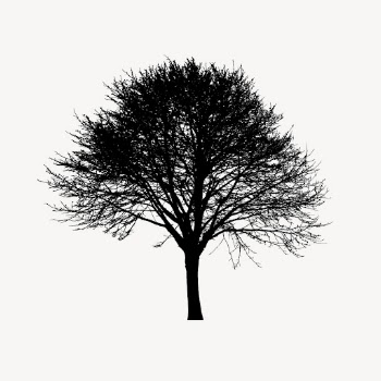Tree silhouette sticker, botanical illustration | Free Vector - rawpixel