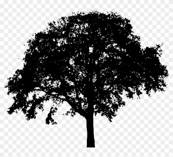 Tree Silhouette - Tree Silhouette Clip Art