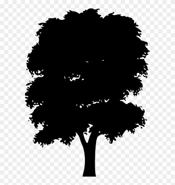 Tree Silhouettes - Mango Tree Silhouette Vector