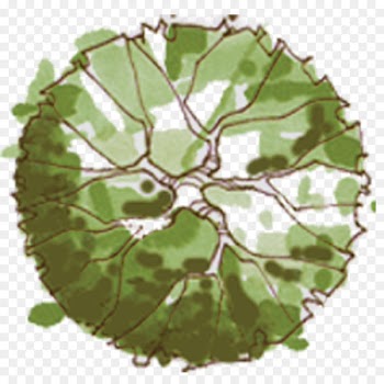 Tree Site plan Landscape architecture - plan 