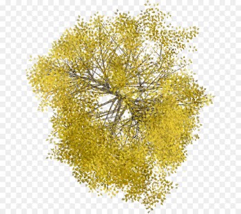 Tree Space Plant Line Wood - arboles 