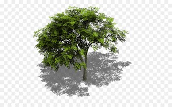Tree Sprite Isometric graphics in video games and pixel art Isometric projection GameMaker: Studio - trees 