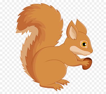 Tree squirrels Computer mouse - Squirrel eating chestnut 