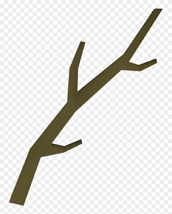Tree Stick Clipart - Branch From A Tree