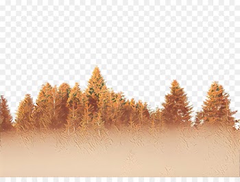 Tree, Stock Photography, Forest, Natural Landscape, Nature PNG