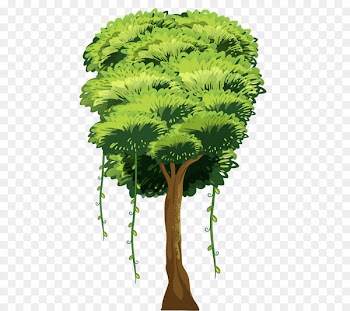 Tree, Stock Photography, Royaltyfree, Plant PNG
