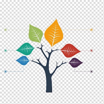 Tree structure Chart Graph, Color maple leaf branch tree transparent background PNG clipart