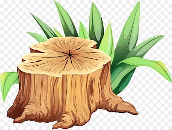 Tree stump