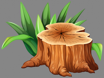 Tree Stump Clipart PNG Image | Gallery Yopriceville - High ...
