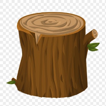 Tree stump png sticker, nature | Free PNG - rawpixel