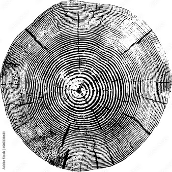 tree stump texture with a transparent background