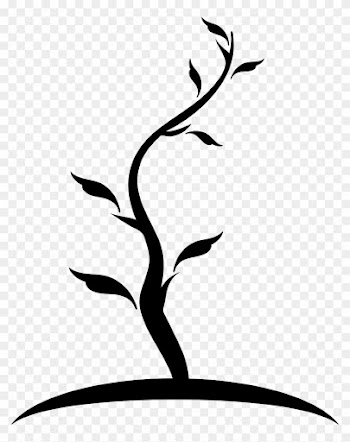 Tree Thin Shape Of Young Trunk With Few Leaves Comments - Young Tree Icon