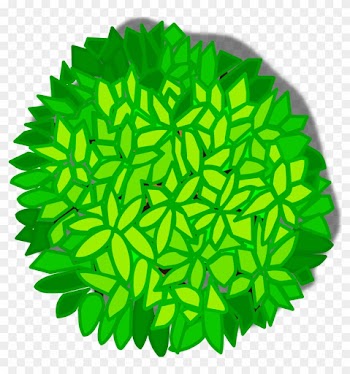 Tree Top View Drawing - Tree Top View Clipart