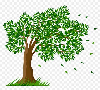 Tree Transparent Clipart Picture - Transparent Background Tree Clipart