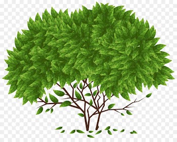 Tree - tree 