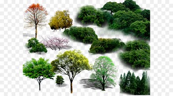 Tree - tree 
