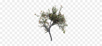 Tree - Tree