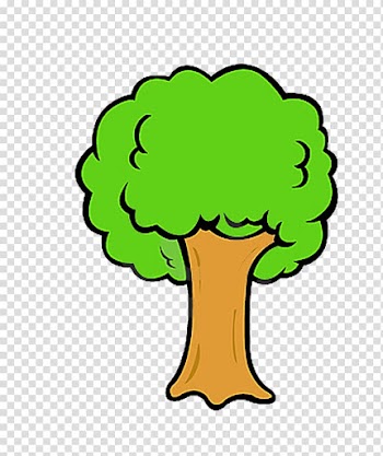 Tree , Tree Cartoon Drawing , tree transparent background PNG clipart
