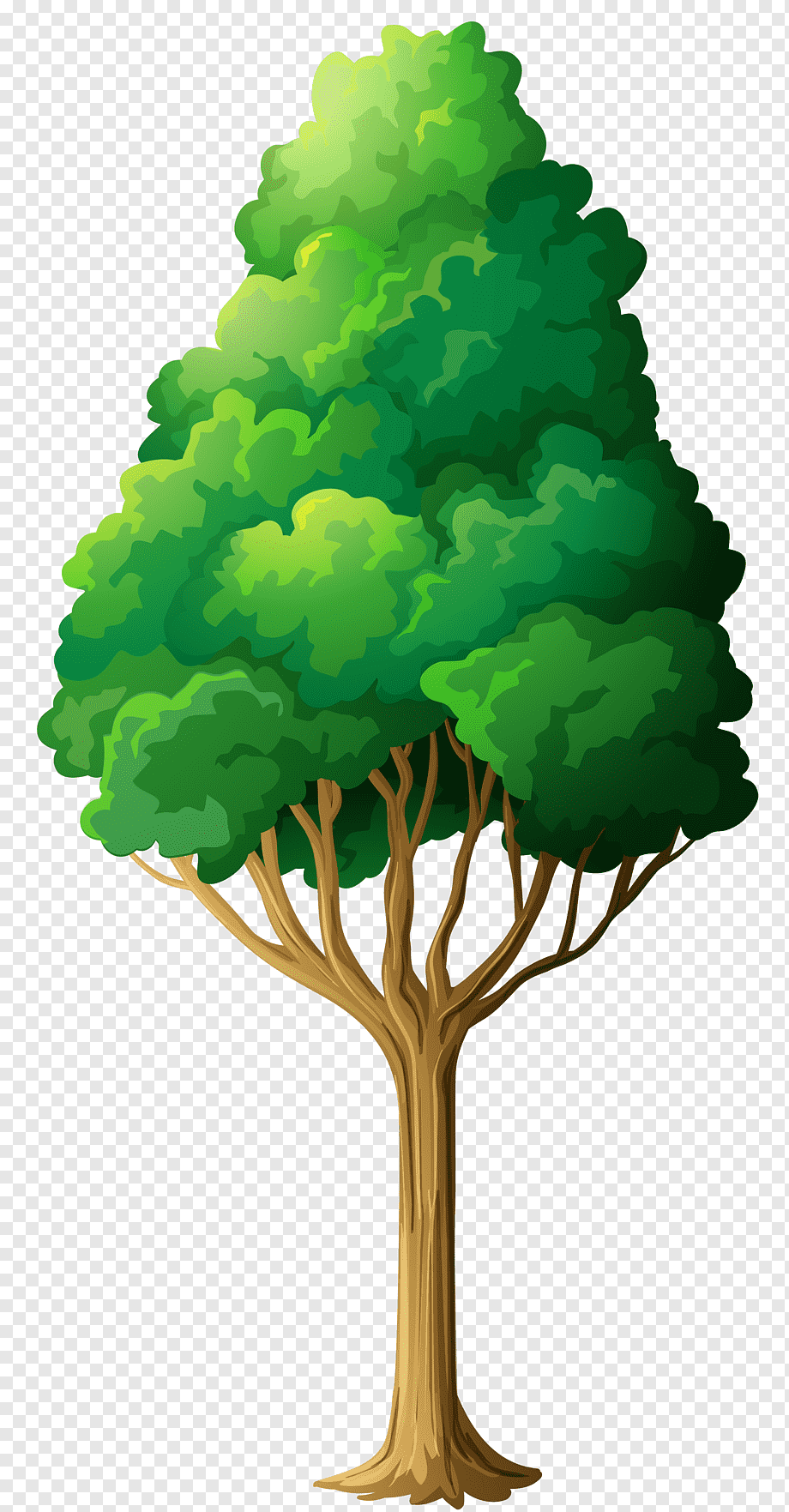Tree, Tree, leaf, branch, plant Stem png