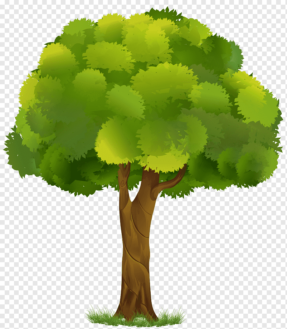 Tree, Tree s, leaf, grass, transparent Tree Cliparts png