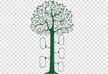 Tree , Tree scale transparent background PNG clipart