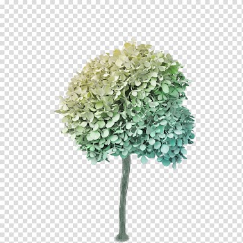 Tree , tree transparent background PNG clipart