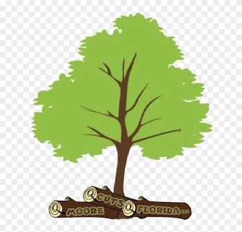 Tree Trimming Tampa - Family Tree Prezi Template