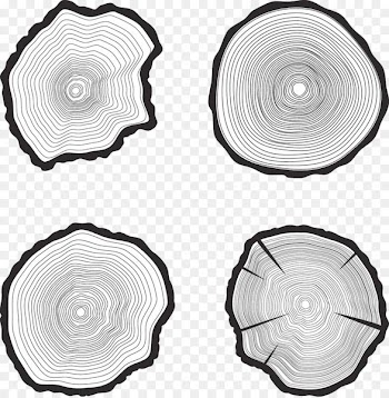 Tree Trunk Aastarxf5ngad Royalty-free - Black and white tree rings 