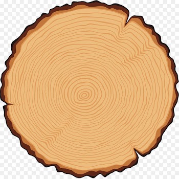 Tree Trunk Cross section Illustration - Wood grain vector 