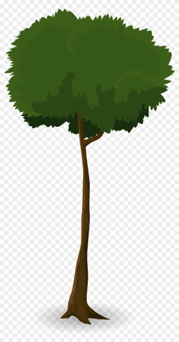 Tree Trunk Nature Leaves Branches Graphic Organic - ต้นไม้ สูง Png