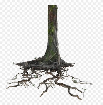 Tree Trunk Roots Png Stock Lake 1077 Cc4 By Annamae22 - Tree Trunk With Roots