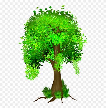Tree, Tubes, Png - Full Money Tree Clipart