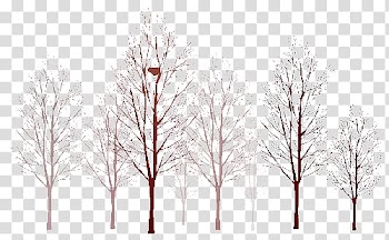Tree Twig , tree transparent background PNG clipart