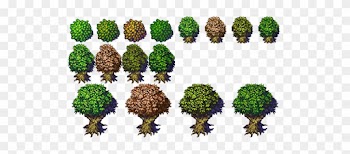 Tree Variations From Jetrel's Wood Tileset Opengameart - Top Down Tree Sprite