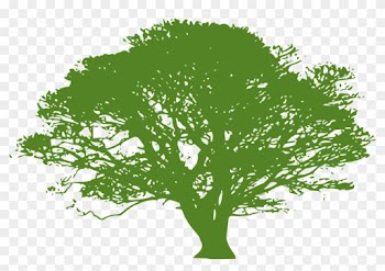 Tree Vector Png 27, Buy Clip Art - Oak Tree Silhouette