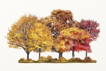 Tree watercolor illustration isolated on white | Free Photo - rawpixel