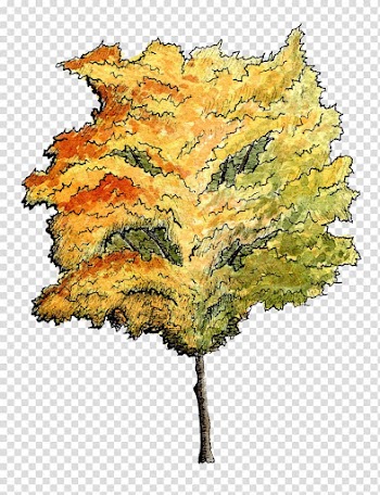 Tree Watercolor painting Architecture Plant Drawing, watercolor tree transparent background PNG clipart
