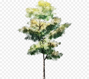 Tree Watercolor painting Drawing Architecture Sketch - Trees 