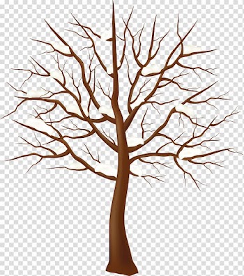 Tree Winter , tree transparent background PNG clipart