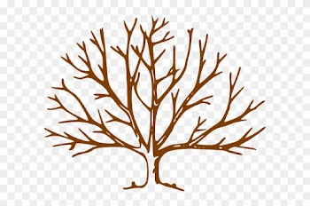 Tree With Branches Clipart