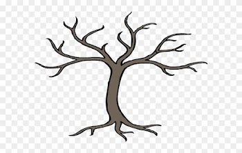 Tree With Branches Drawing