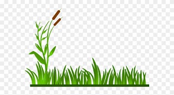 Tree With Lawn Clipart - Clip Art Grass Border