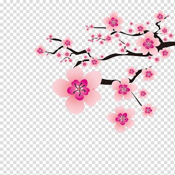 Tree with pink flowers , Cherry blossom Plum blossom Flower, Plum flower transparent background PNG clipart