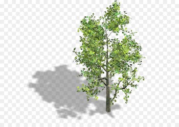 Tree Wood Axonometric projection Isometric projection Isometric graphics in video games and pixel art - persimmon 
