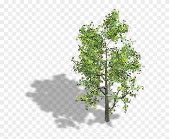 Tree Wood Axonometric Projection Isometric Projection - Isometric Tree Png