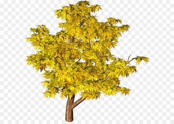 Tree Yellow Clip art - Yellow Fall Tree PNG Clipart 